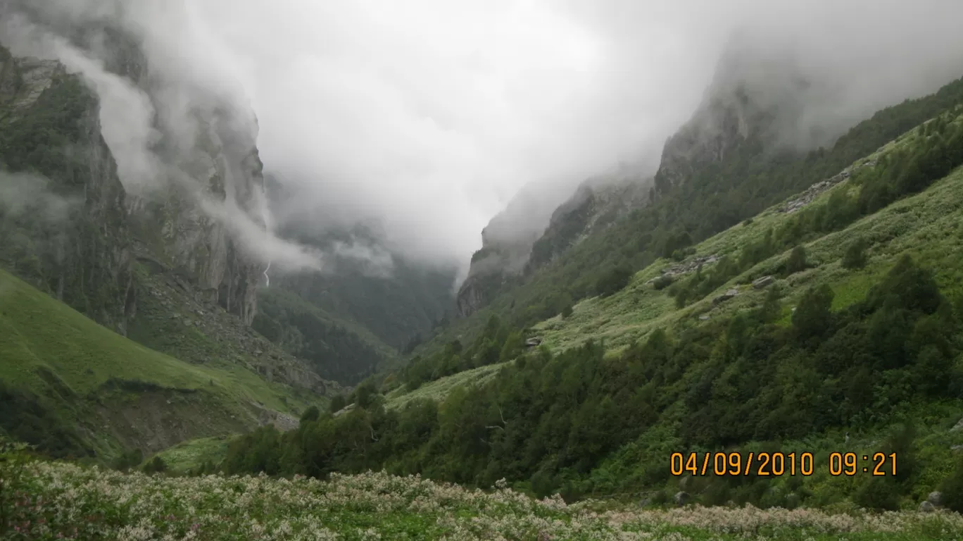 Photo of Valley of Flowers National Park By Roaming Mayank