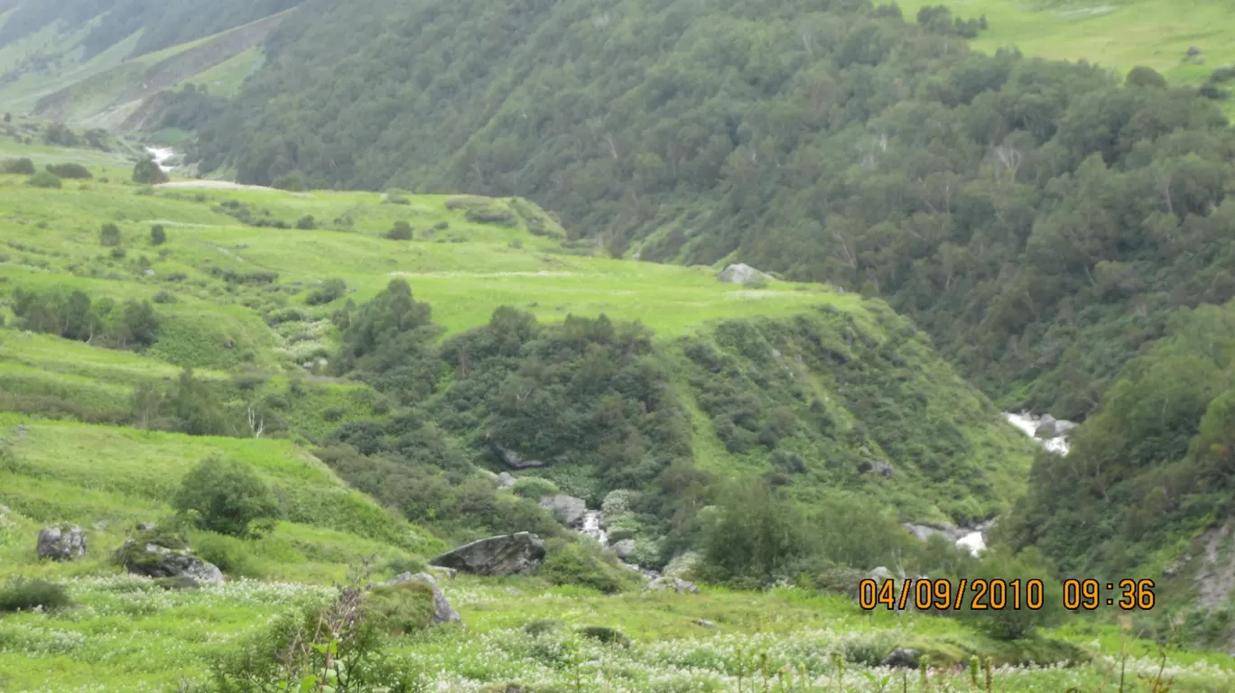 Photo of Valley of Flowers National Park By Roaming Mayank