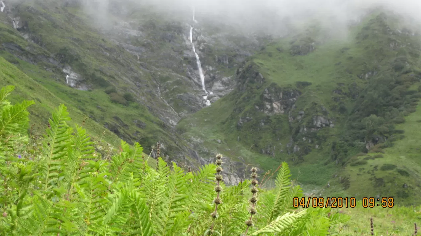 Photo of Valley of Flowers National Park By Roaming Mayank