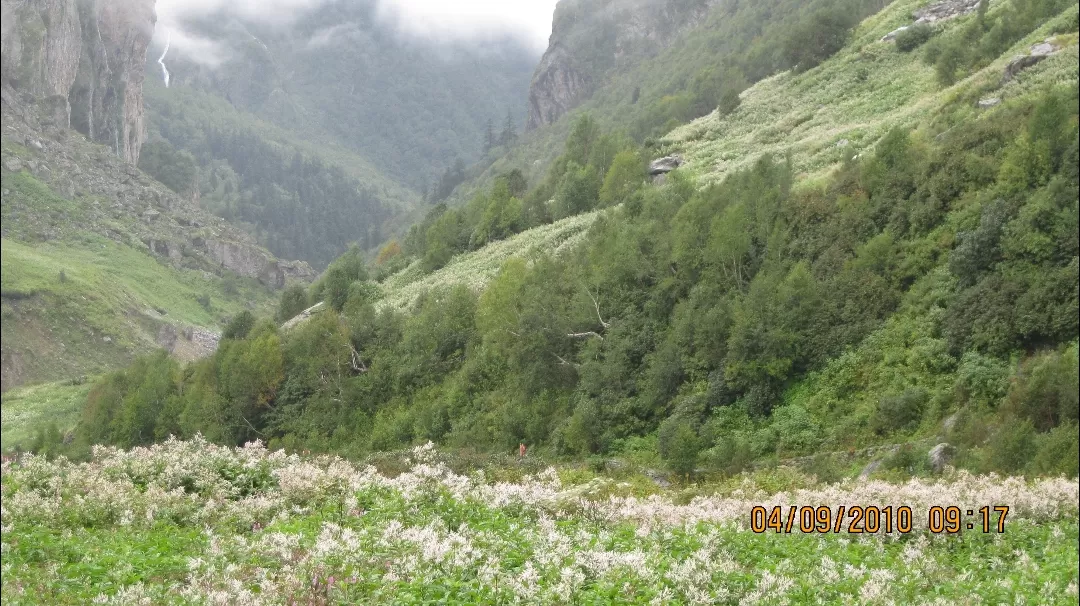 Photo of Valley of Flowers National Park By Roaming Mayank