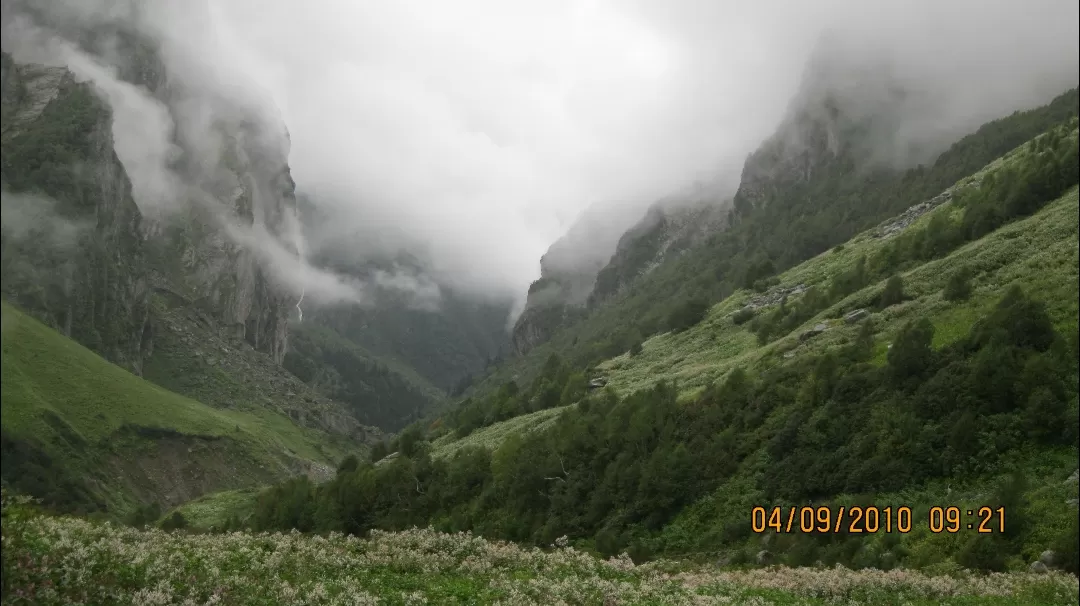 Photo of Valley of Flowers National Park By Roaming Mayank