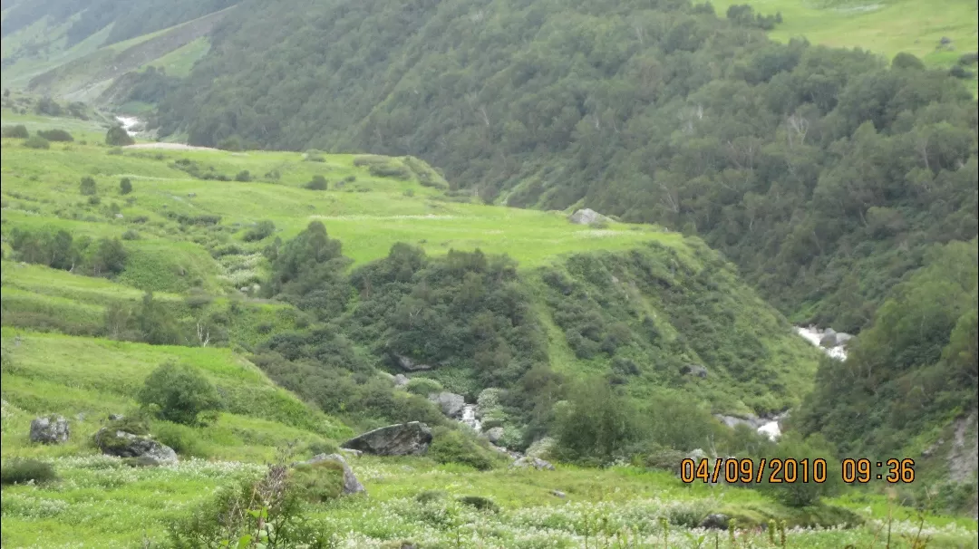 Photo of Valley of Flowers National Park By Roaming Mayank