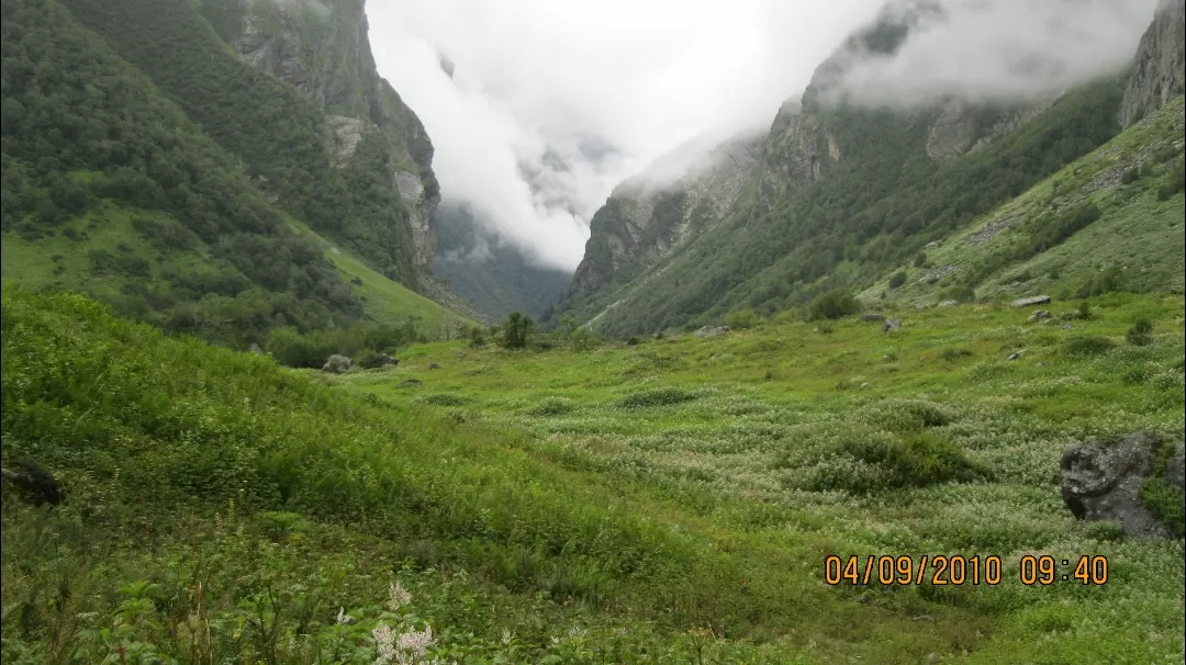 Photo of Valley of Flowers National Park By Roaming Mayank