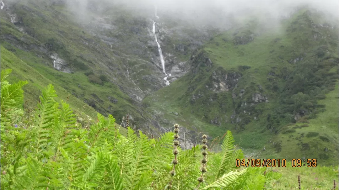 Photo of Valley of Flowers National Park By Roaming Mayank