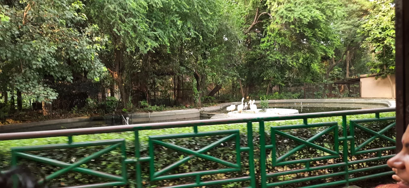 Photo of Nawab Wajid Ali Shah Zoological Garden By Roaming Mayank