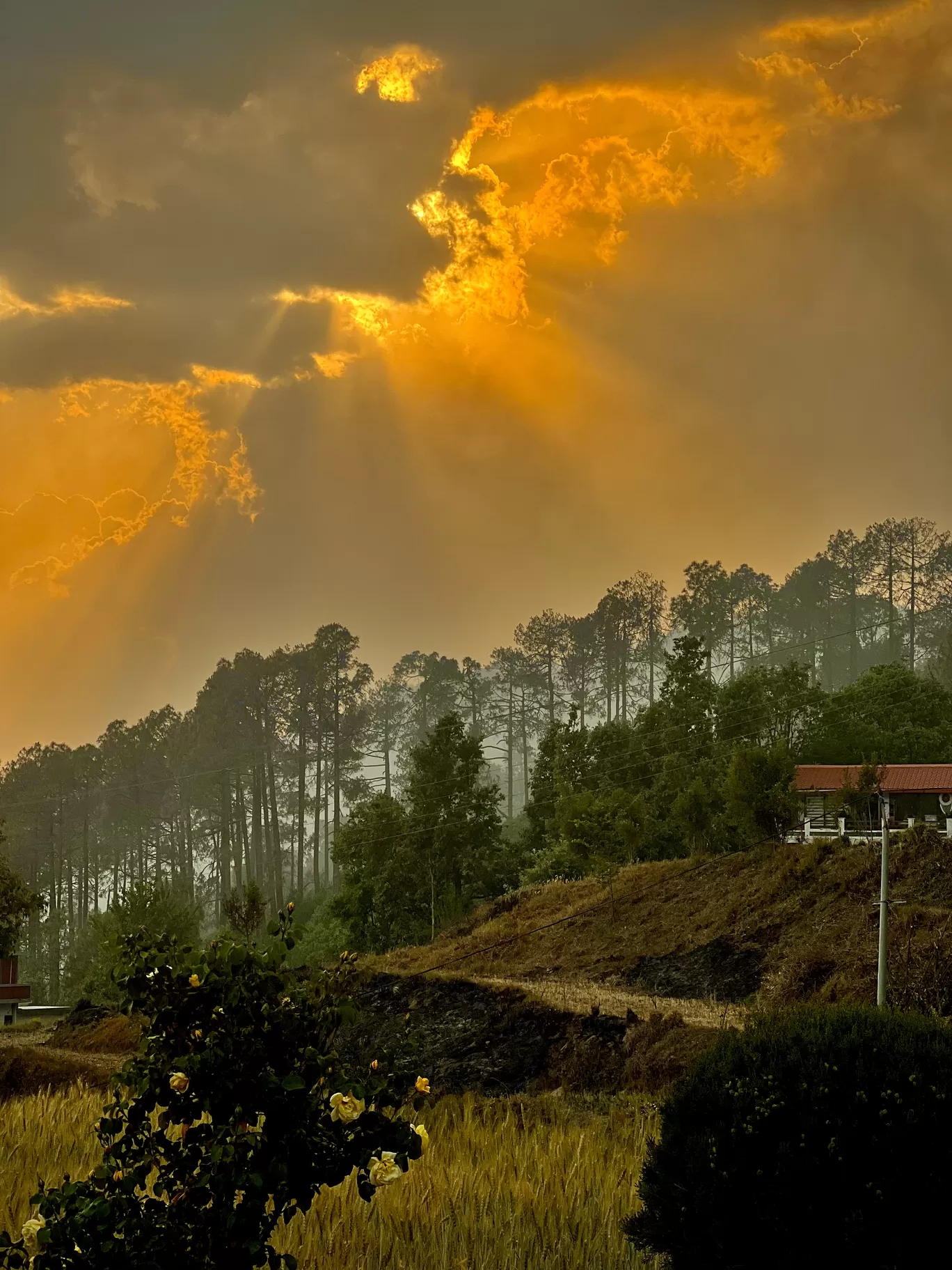 Photo of Dhaulchhina By Roaming Mayank