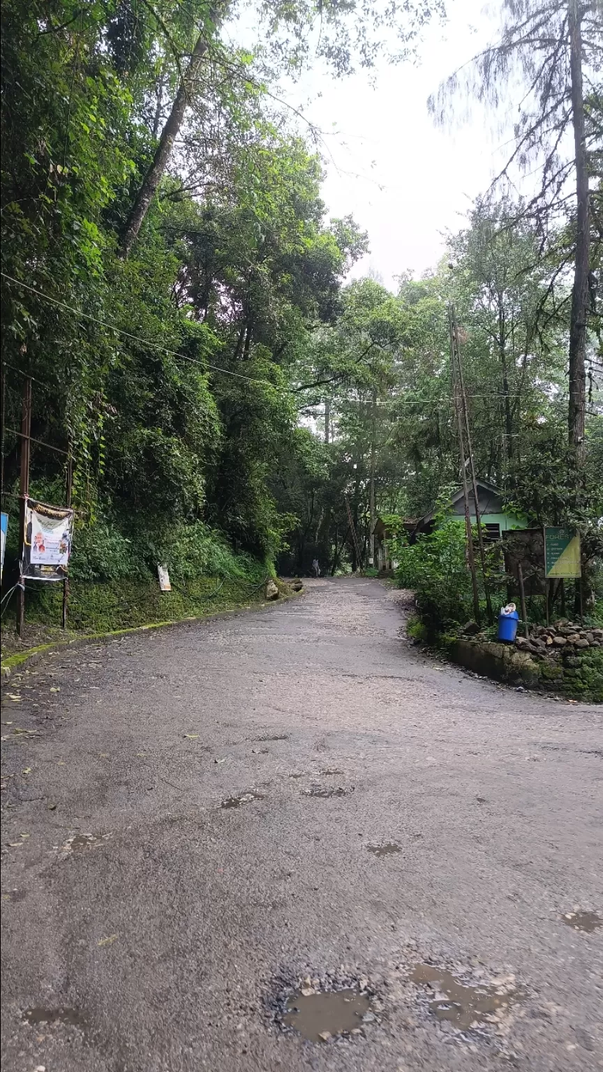 Photo of Dentam Forest Block By Himalayan breez