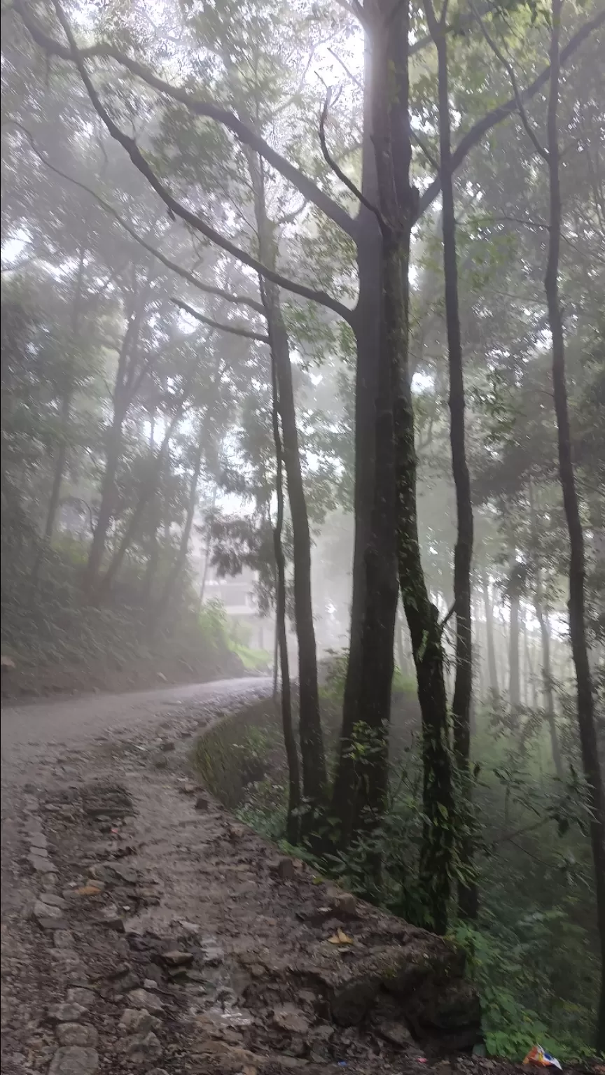 Photo of Dentam Forest Block By Himalayan breez