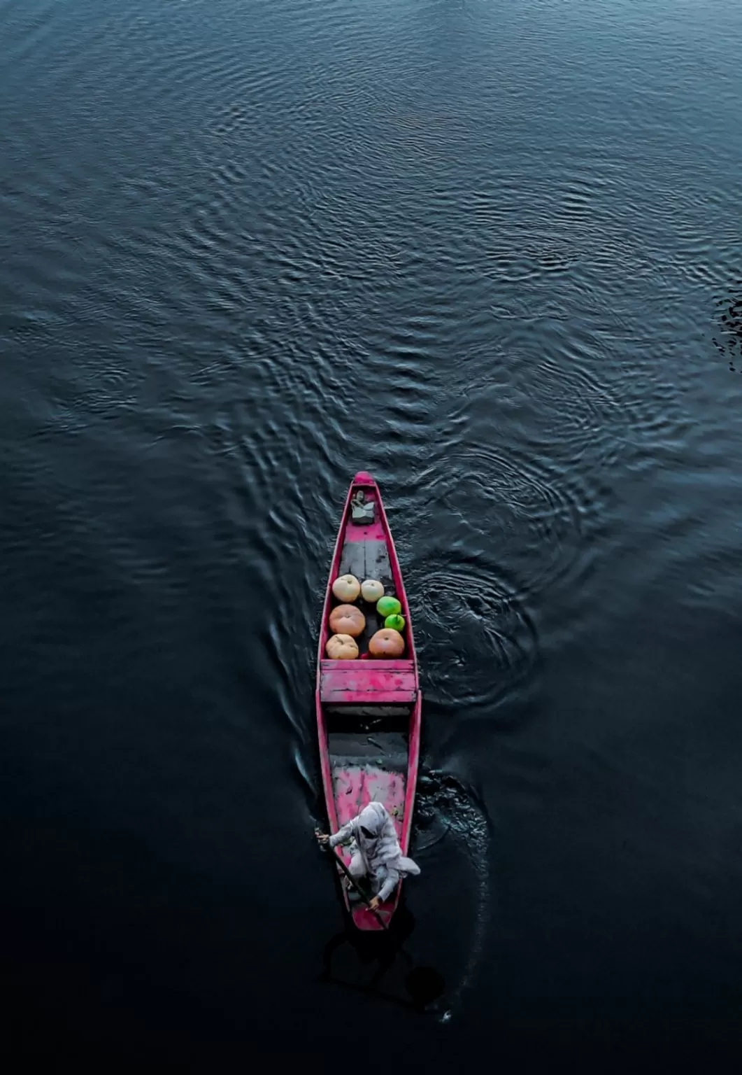 Photo of Dal Lake By Mohammad Abbass Kand