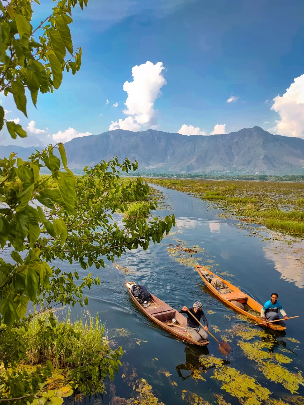 Photo of Char Chinar Dal lake By Mohammad Abbass Kand