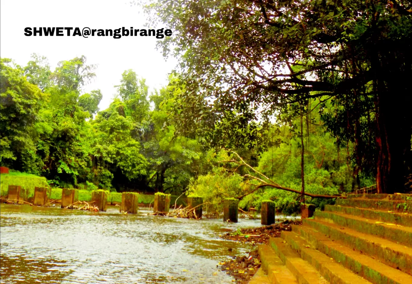 Photo of Arvalem By Rang Birange