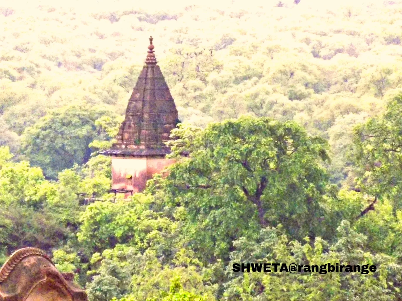 Photo of Orchha By Rang Birange