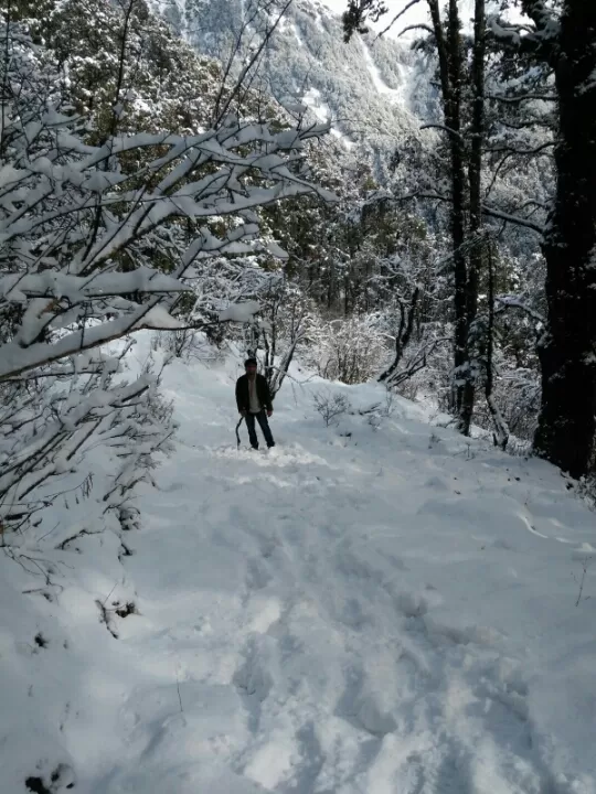 Photo of Dayara Bugyal Trek By Prashant Kumar