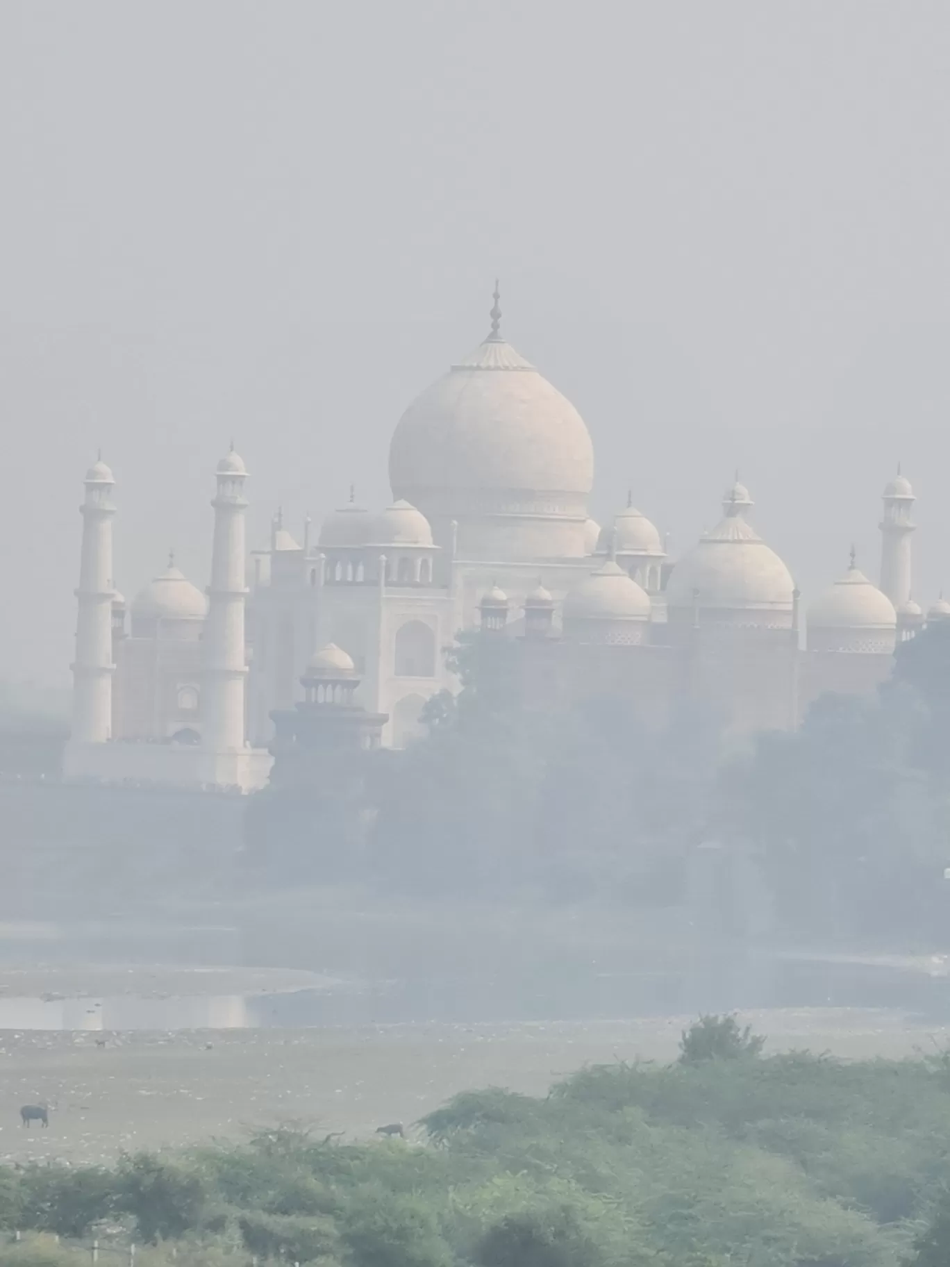 Photo of Taj Mahal By Ankur Singh