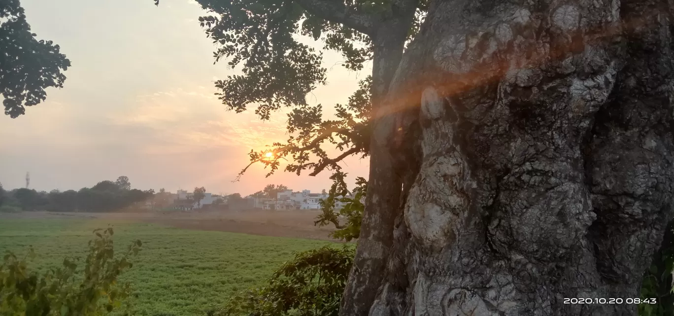 Photo of Chhatarpur By Nandita Dwivedi