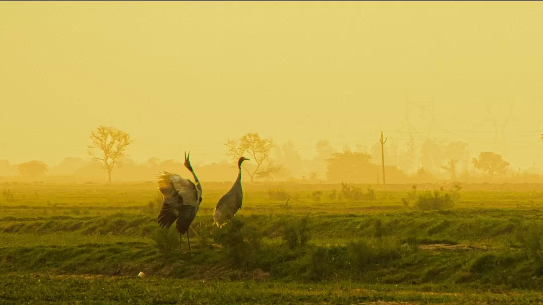 Photo of Gurgaon By Manish Samuel