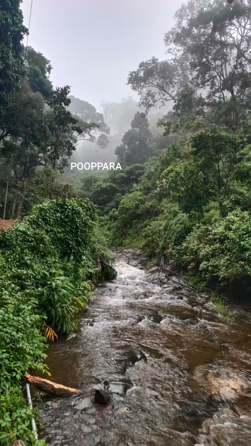 Photo of Pooppara By J E G A D E E S H _ V J