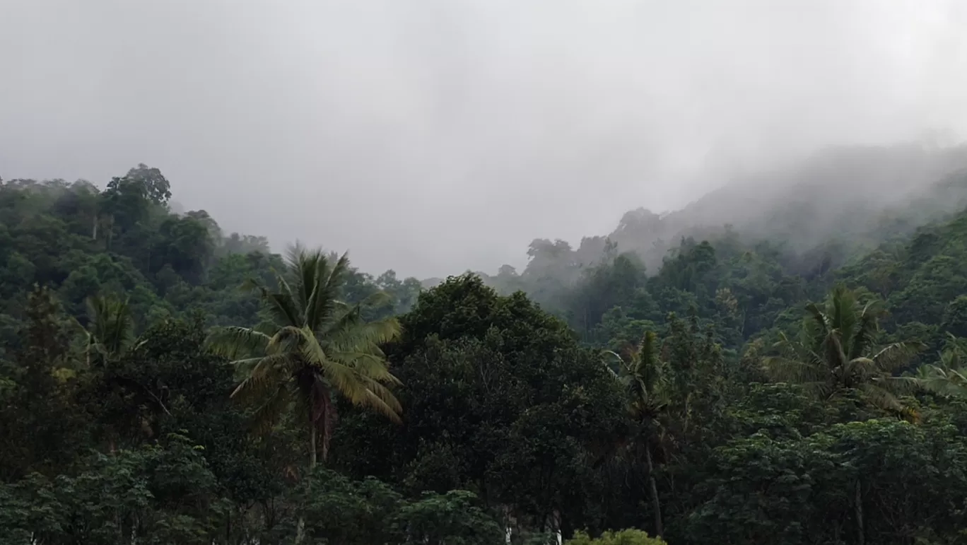 Photo of Anachal By J E G A D E E S H _ V J