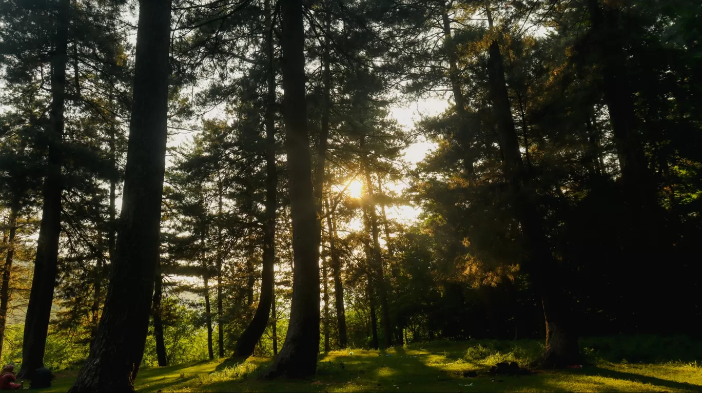 Photo of Tral By Firdous Parray