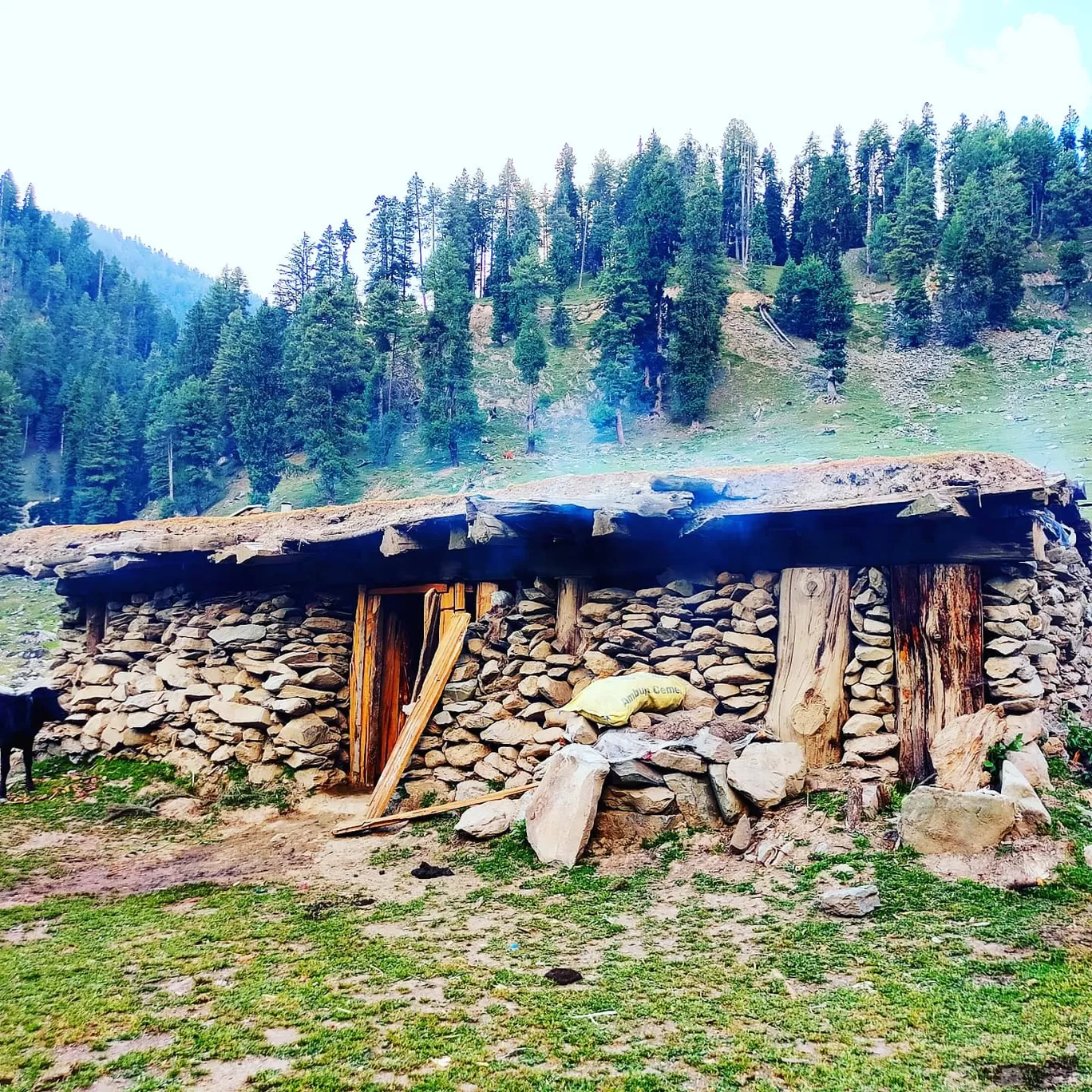 Photo of Daksum By Danish ul abass
