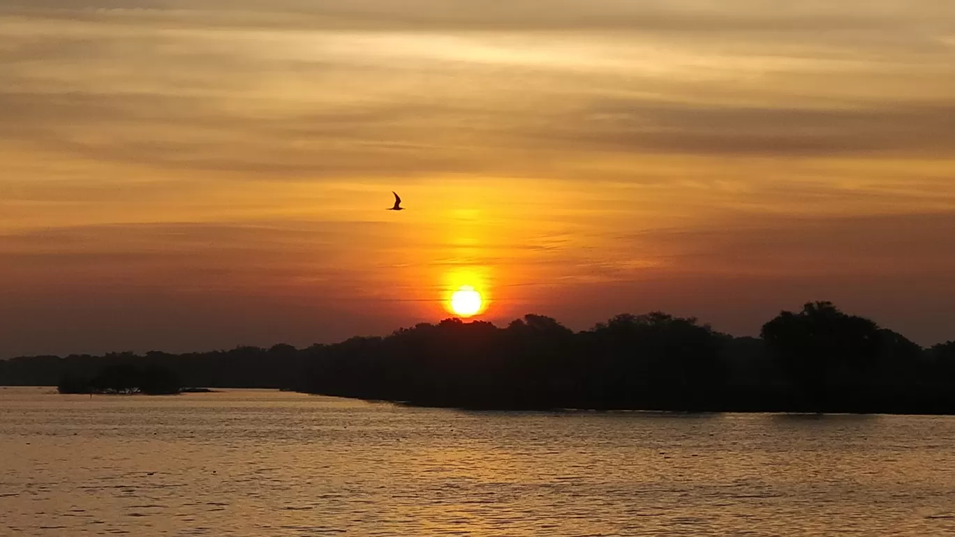 Photo of Thol Bird Sanctuary By Sadhish Kumar Jain