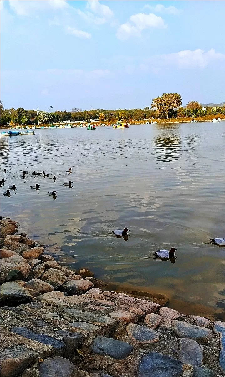 Photo of Sukhna Lake By Ayushi Kesarwani