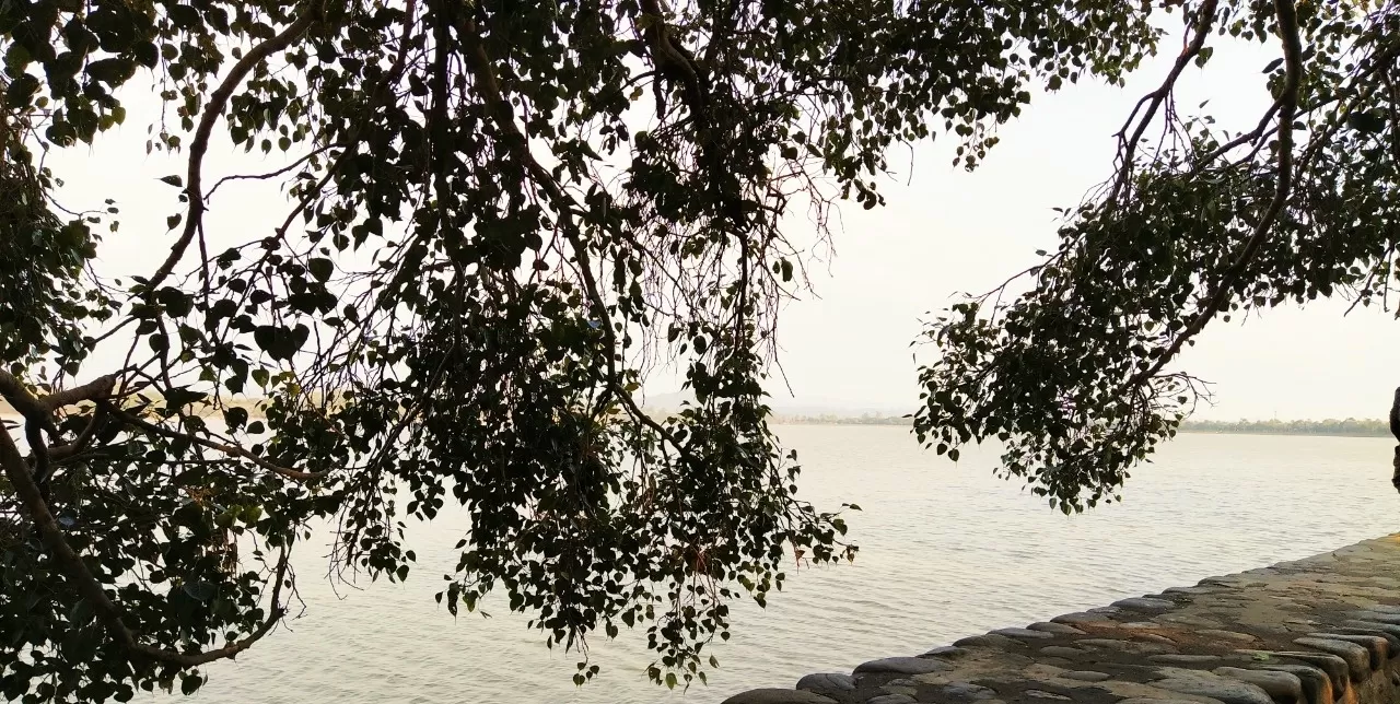 Photo of Sukhna Lake By Ayushi Kesarwani