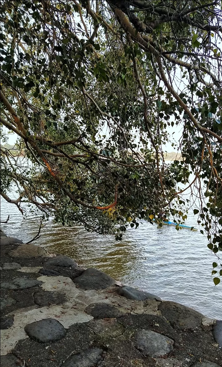 Photo of Sukhna Lake By Ayushi Kesarwani