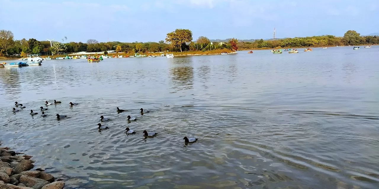 Photo of Sukhna Lake By Ayushi Kesarwani