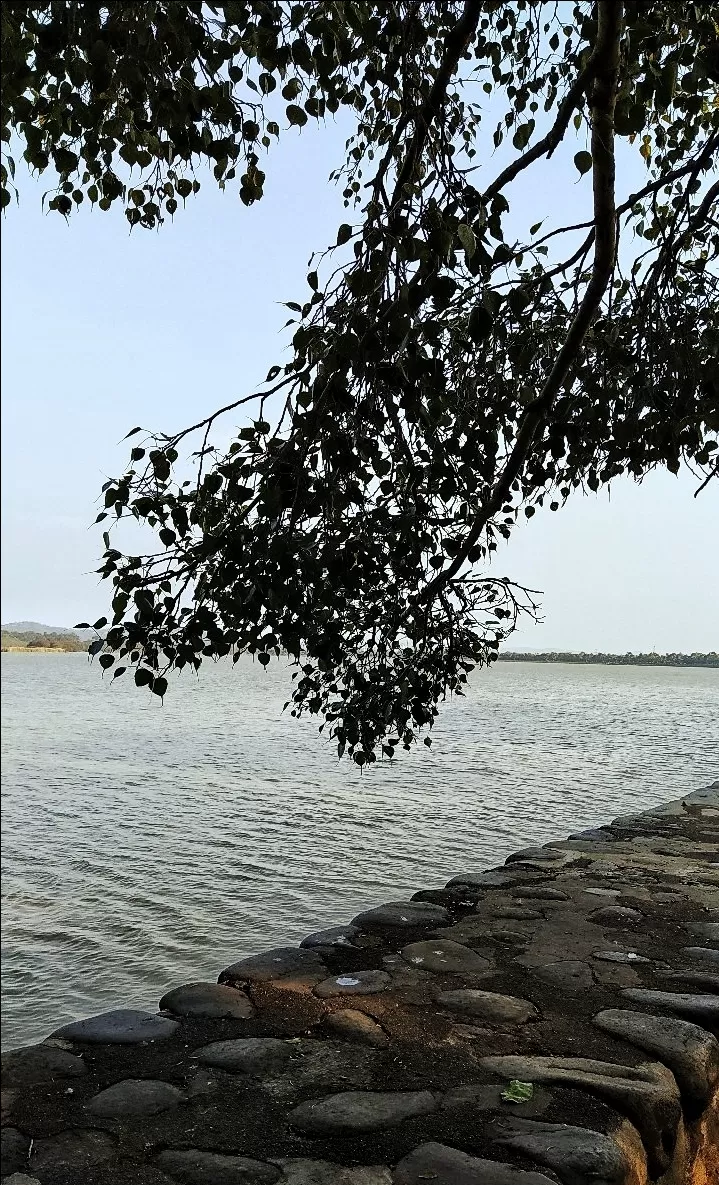 Photo of Sukhna Lake By Ayushi Kesarwani