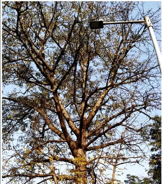 Photo of India By Ayushi Kesarwani