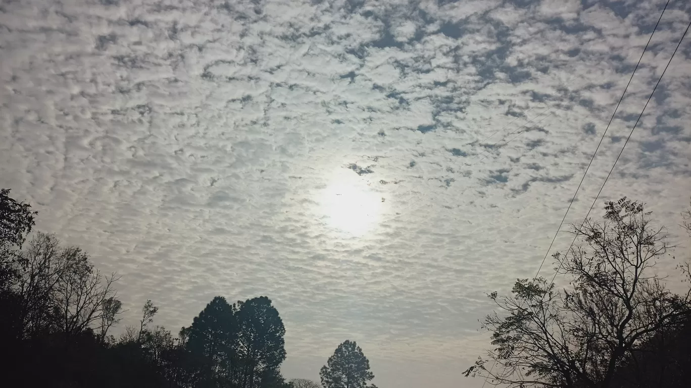 Photo of Arki By Tanuj Sharma