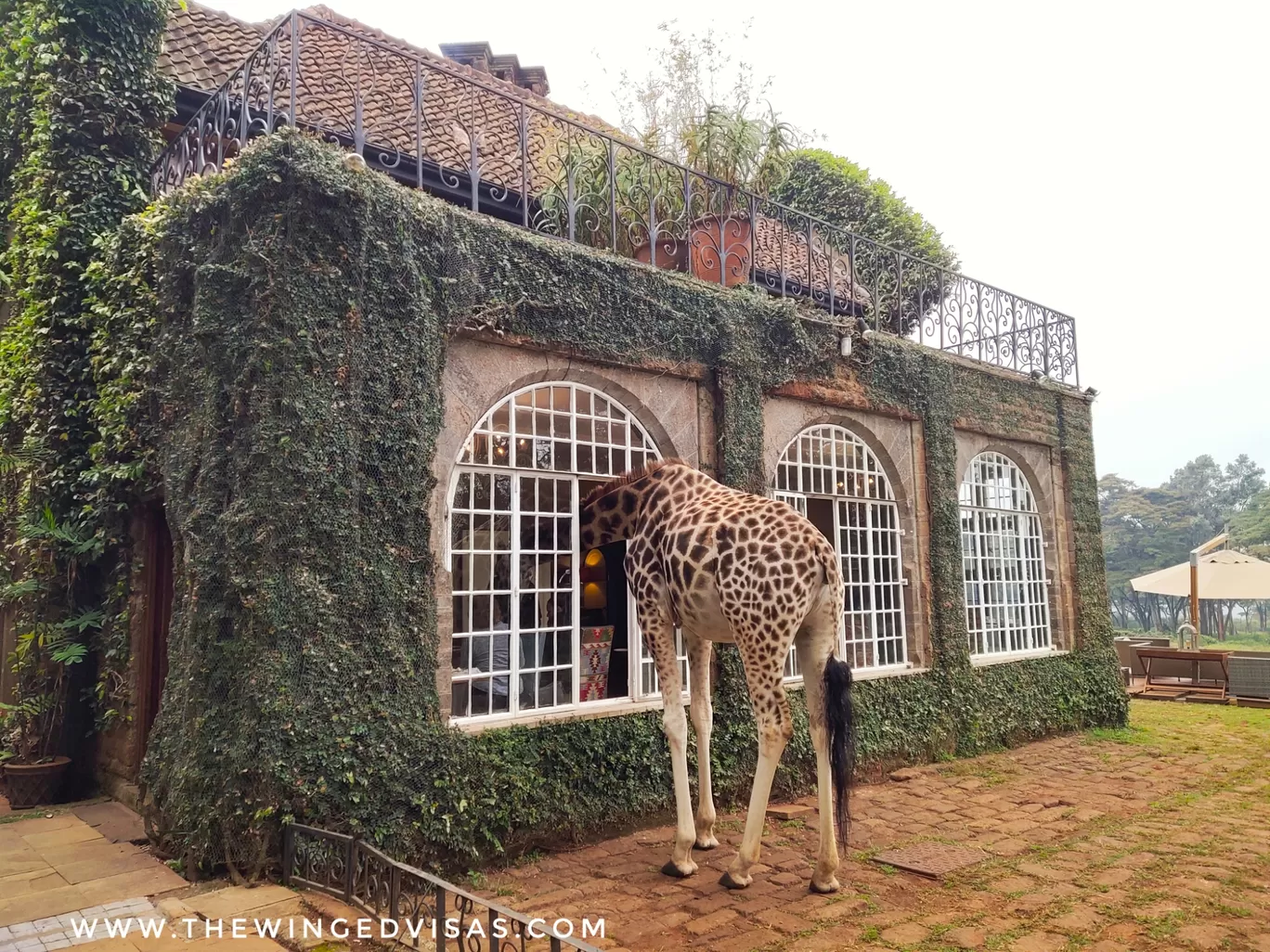 Photo of Giraffe Manor By TheWingedVisas
