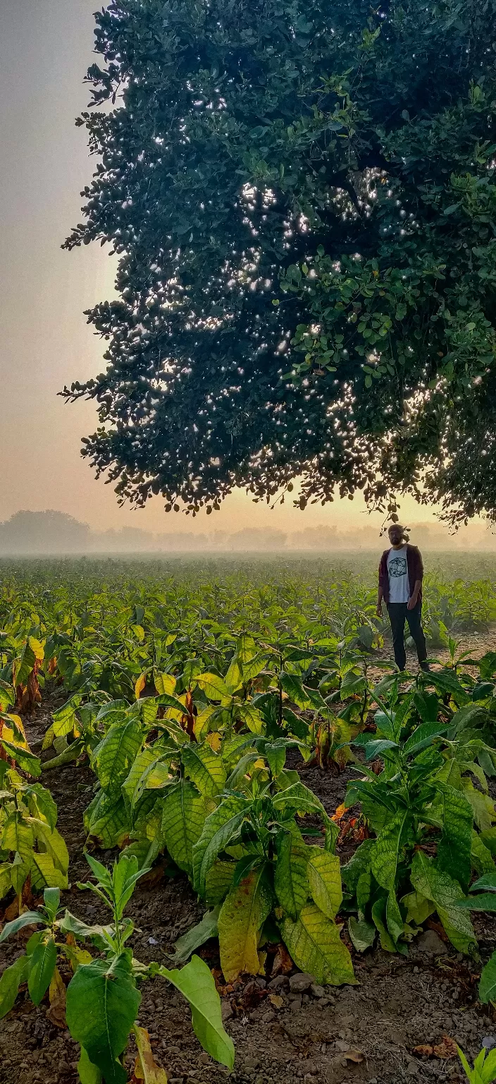 Photo of Gujarat By Shenoy Chakerwarti