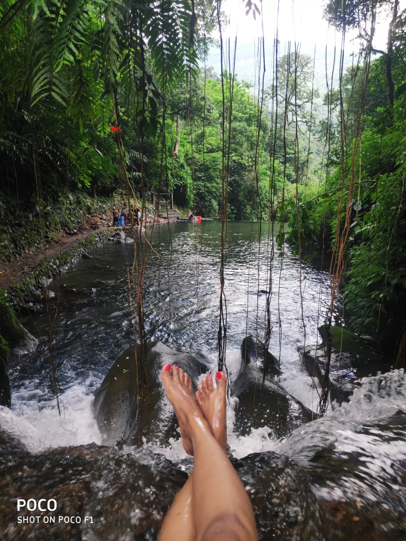 Photo of Double Decker Living Root Bridge By Namrata Dutta