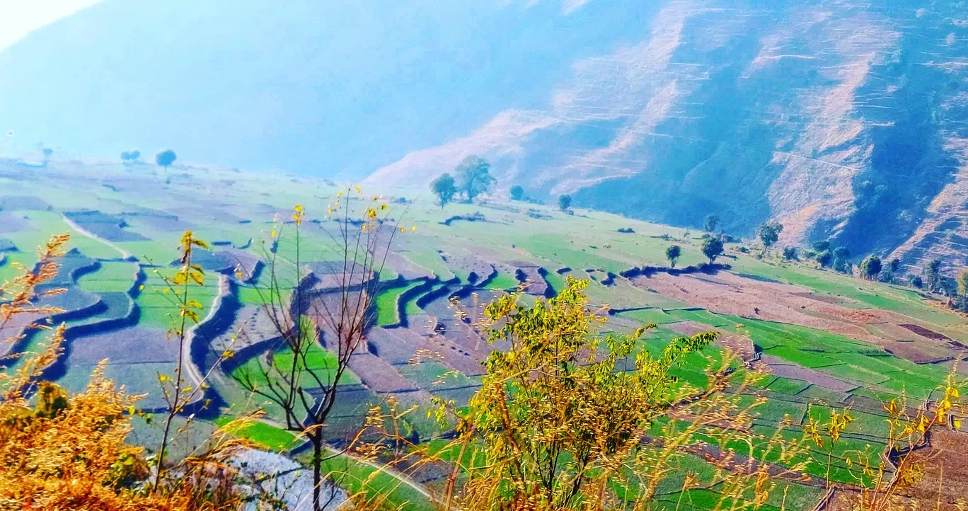 Photo of Pantwari Nagtibba By Ram Tiwari (बाबरा )