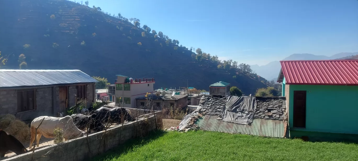 Photo of Pantwari Nagtibba By Ram Tiwari (बाबरा )