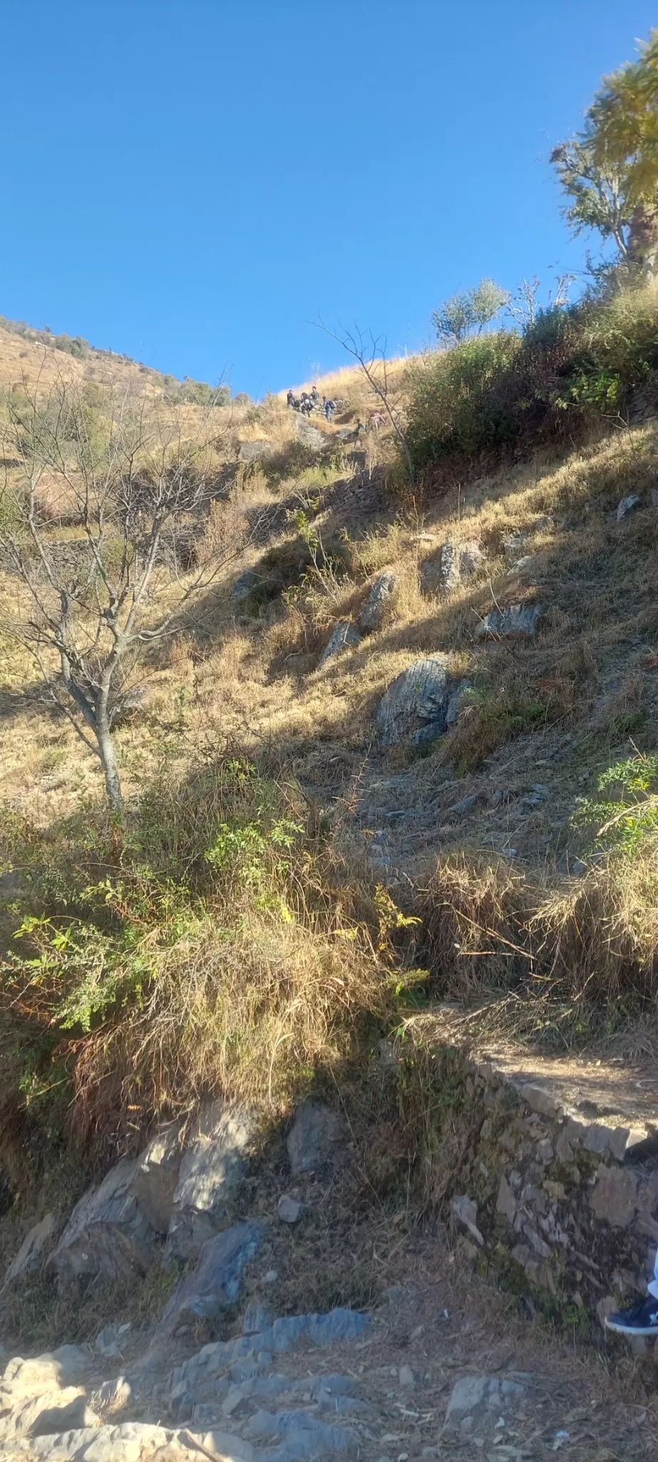 Photo of Pantwari Nagtibba By Ram Tiwari (बाबरा )