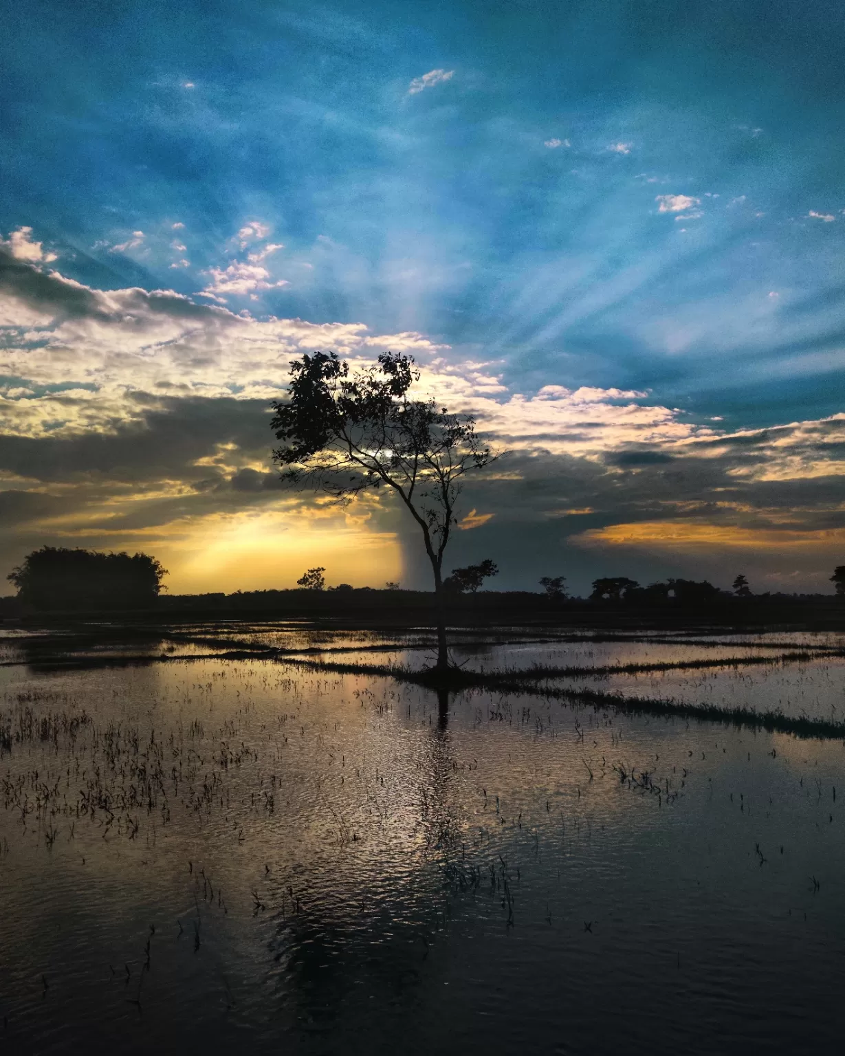 Photo of Jorhat By Ved Vijay Neog