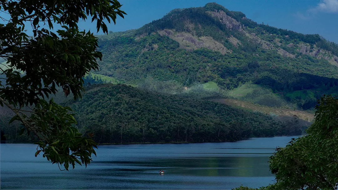 Photo of Munnar By Akhil Nadh Pc