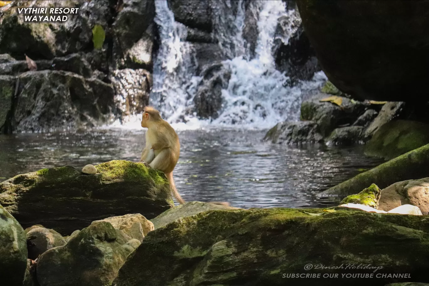 Photo of Wayanad By Ramsankar@Dinesh