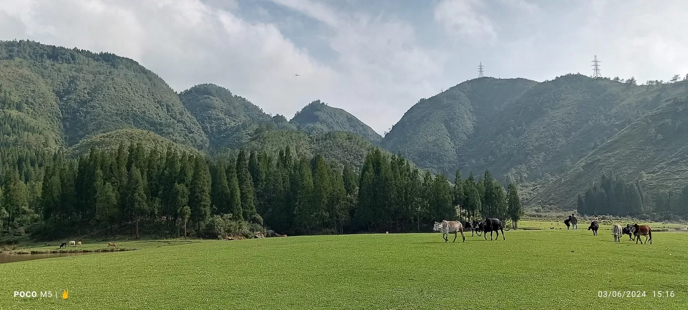 Photo of Mawphlang David Scott Trail - East Khasi Hills District By Raksan lyngwi