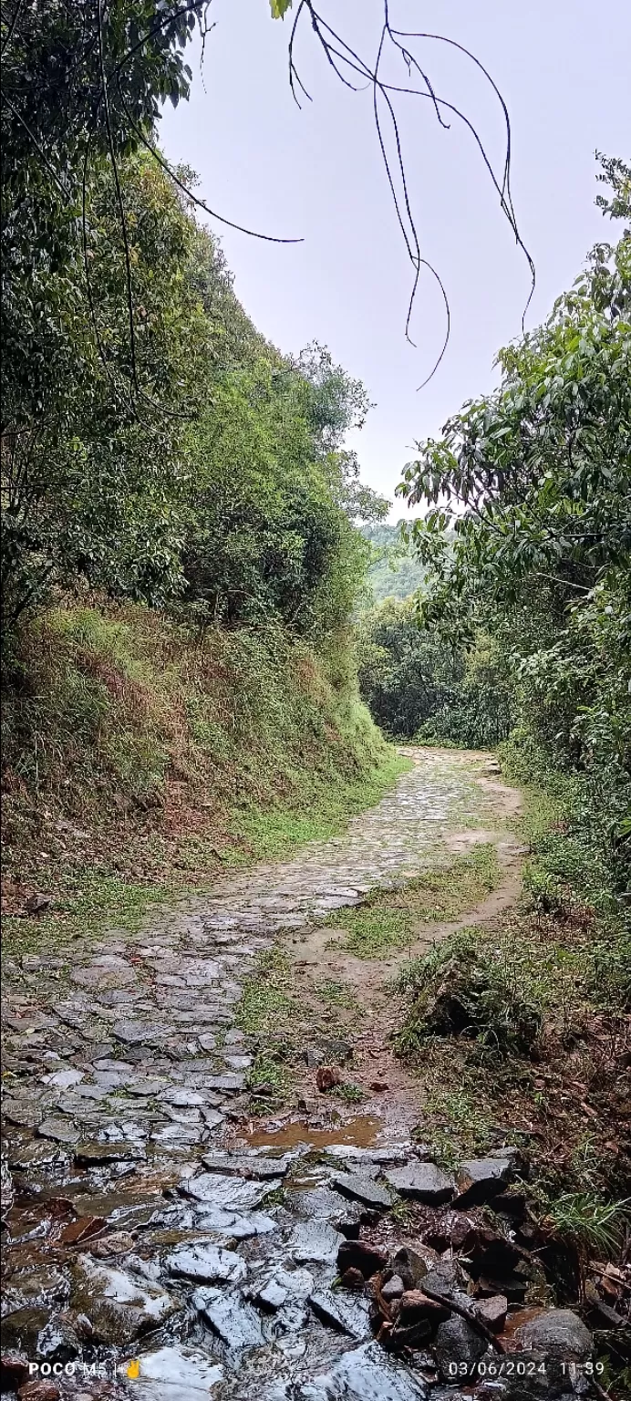 Photo of Mawphlang David Scott Trail - East Khasi Hills District By Raksan lyngwi