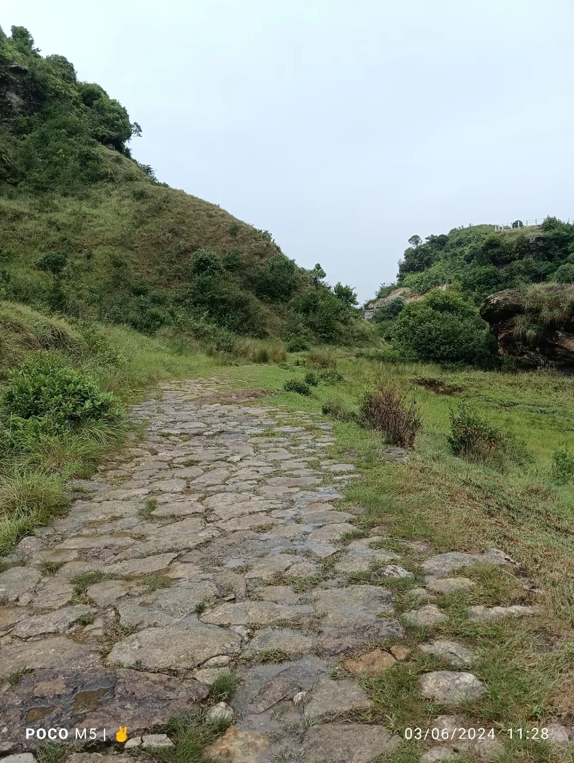 Photo of Mawphlang David Scott Trail - East Khasi Hills District By Raksan lyngwi