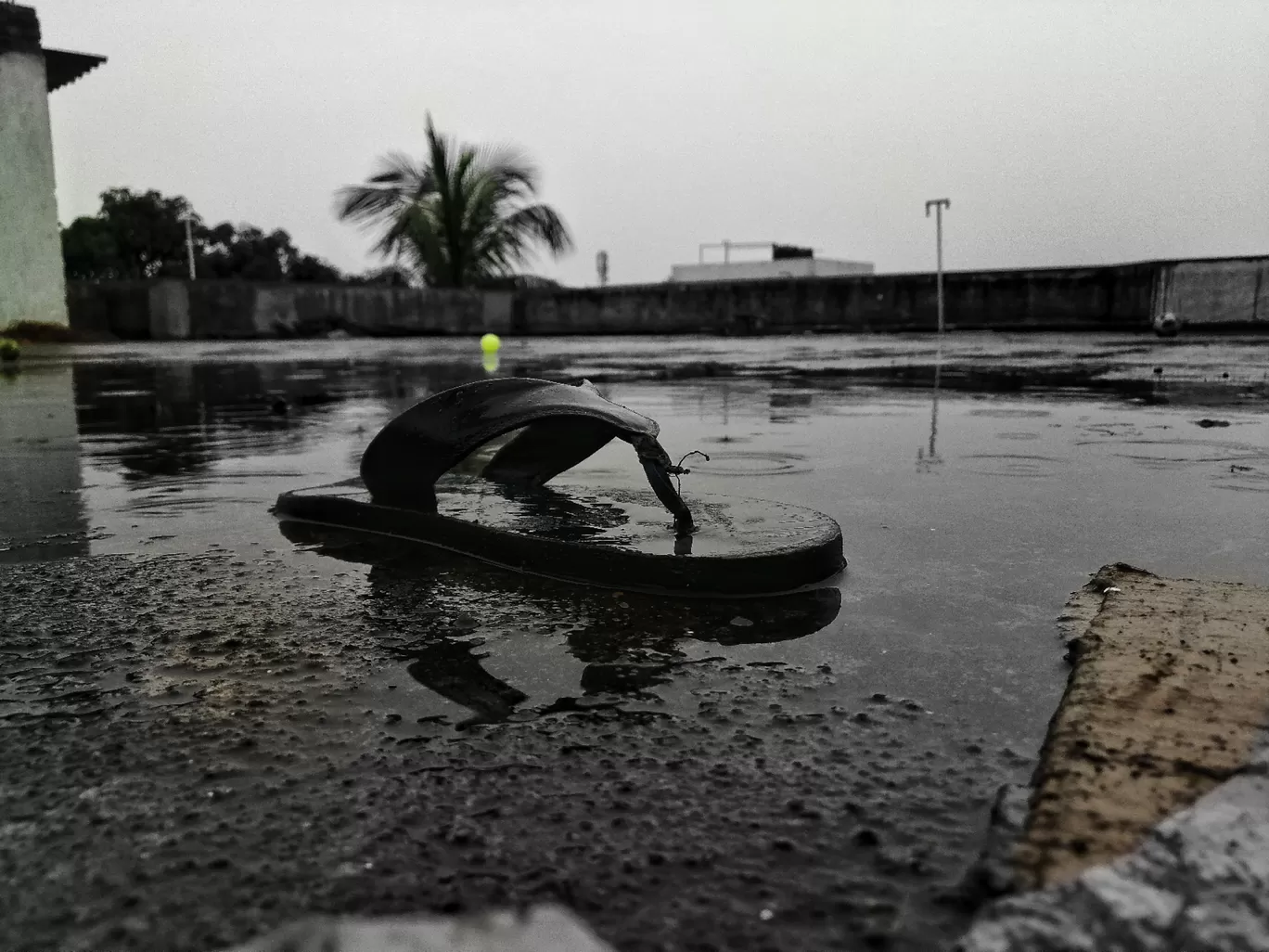 Photo of Patna By Nikhil