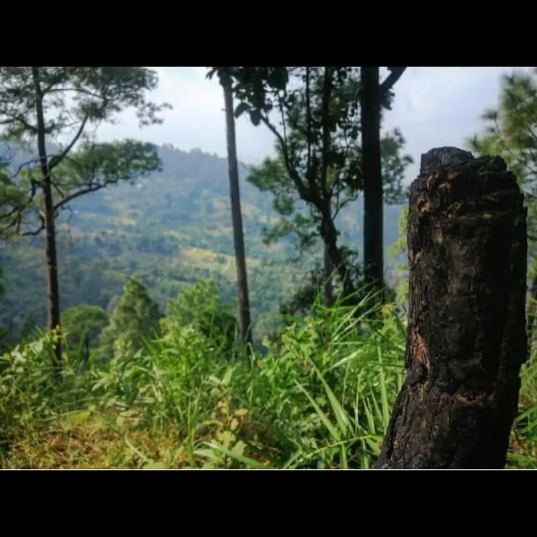 Photo of Haidakhan Babaji Temple By Nikhil