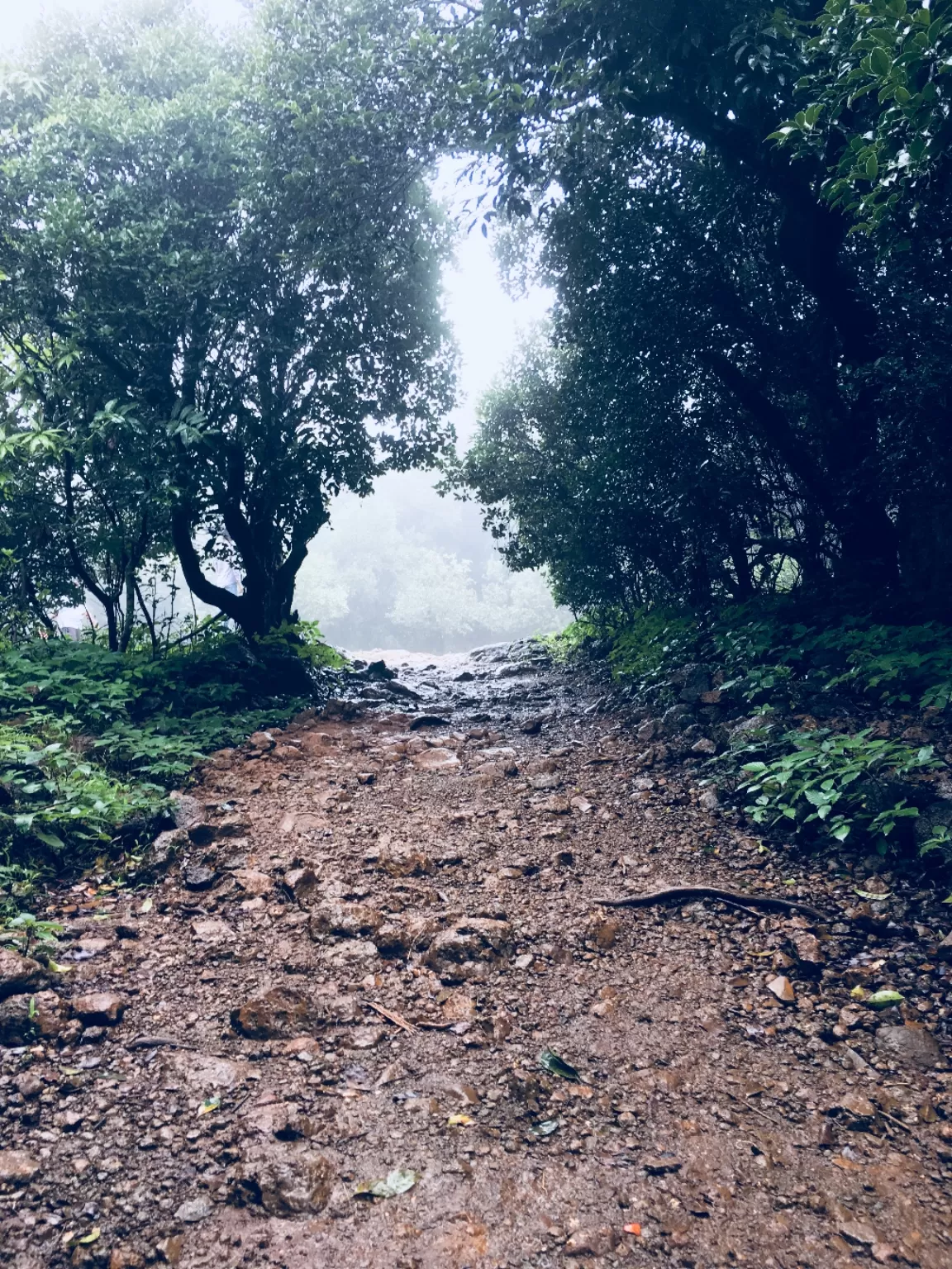 Photo of Bhandardara By Nikita Chouhan