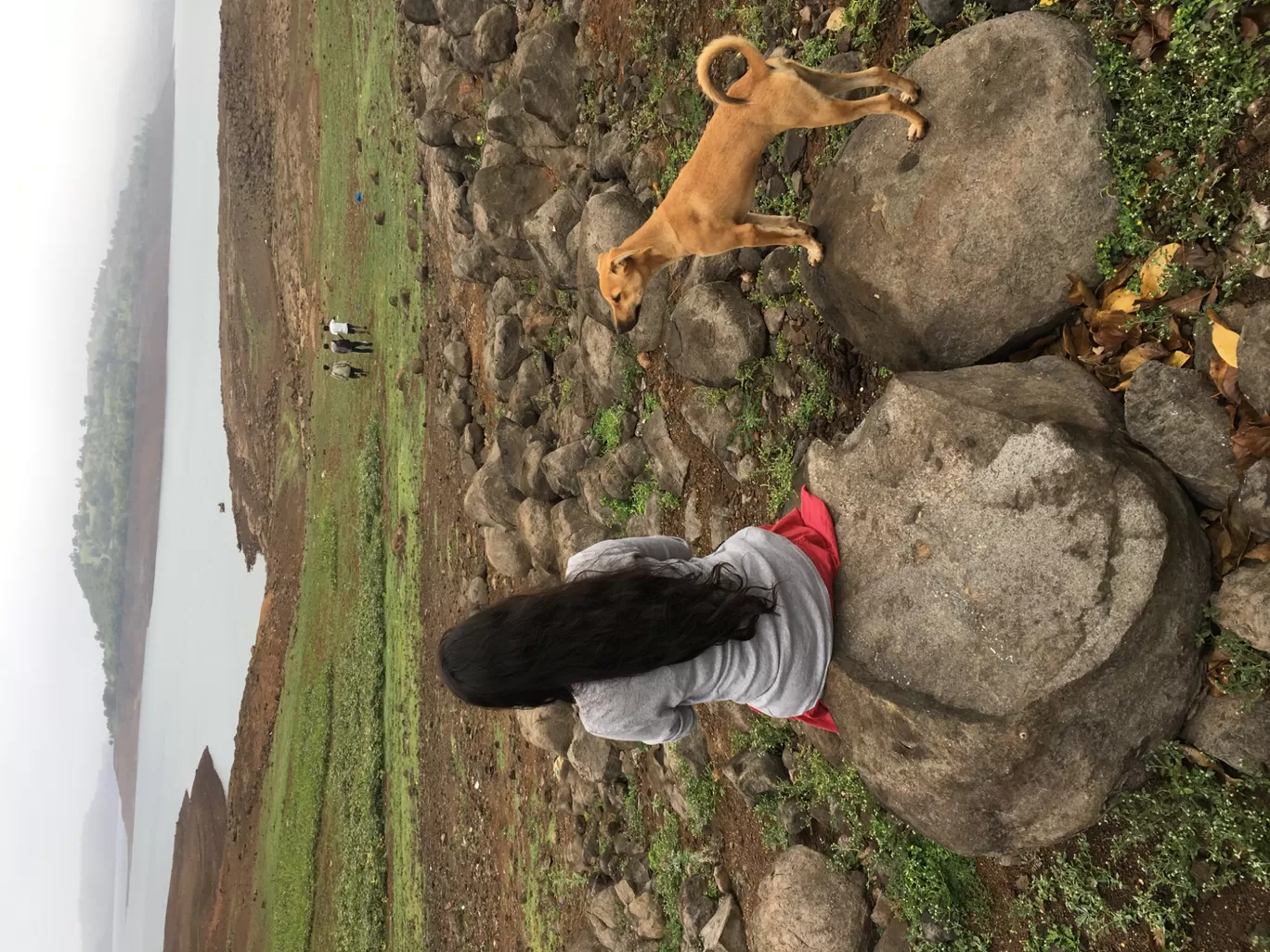 Photo of Bhandardara By Nikita Chouhan