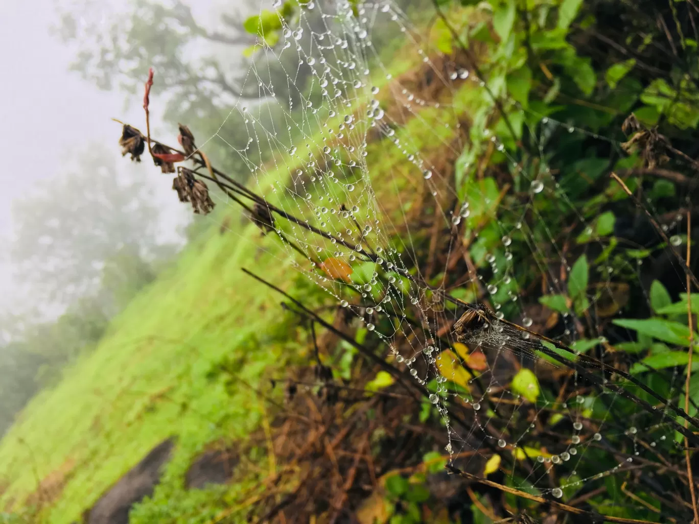 Photo of Bhandardara By Nikita Chouhan