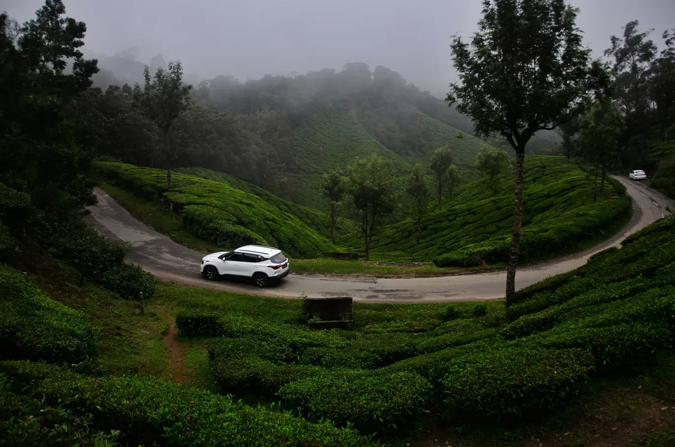 Photo of Munnar By Bony